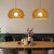 艺标实木吊灯创意鸟笼饭店木艺吊灯单头日式木质灯具现代中式餐厅客厅 A款小号-35CM直径 18瓦暖光灯泡