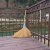 竹扫把农村老式竹丝扫帚笤帚户外庭院环卫通用大扫把扫院子 芦花扫把 长11米宽55厘米