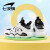 七波辉（7-PE）男童鞋儿童鞋子运动鞋2024男童篮球鞋透气网面中大童跑步鞋 34码 