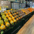 纸板可移动阶梯式陈列货架水果店中岛便携超市展示架多层纸质台阶 （黑色）4阶直角垫 1套