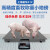 上海耀华A12高精度畜牧称重小地磅称猪称牛畜牧农业专用电子定制 2x2m 无围栏