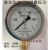 雷尔达YN-100耐震压力表真空表抗震液压油压表0-1 1.6 2.5 40MPA 0-1.6MPA