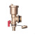 祁衡 分水器地暖分集水器黄铜 水暖通家装分水器套装手动控制1寸 自动排气阀DN25一对 一个价 