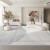 瑞鹊（Richway）客厅地毯卧室茶几地毯仿羊绒原创北欧简约线条家用加厚定制地毯 抽象款 80×160CM