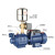 不锈钢螺杆自吸泵220V高扬程吸水泵井水自来水全自动增压泵 (自动)不锈钢自吸螺杆泵1100W
