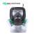 LISM防毒防尘面具工业粉尘全面罩化工喷漆打磨防农药可配滤毒盒口罩 面具+2片棉  防尘用