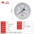 红旗仪表YO-100Z氧气仪表轴向不带边禁油氧气专用压力表 测氧专用 0-60MPa