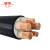 津成电缆 ZRC-YJV-0.6/1KV-3*50+2*25mm² 铜芯阻燃电力电缆 1米