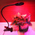 仁聚益凝日led多肉补光灯可充电植物灯USB三色调光带定时室内家用生长灯 三头全光谱植物灯