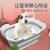 得乐（DELE）宠物洗澡盆猫咪专用浴缸猫猫沐浴盆小狗狗泡澡桶防跑洗猫盆灰色  色可折叠