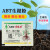 ABT生根粉号一号2号3号苗木扦插发根育苗通用移栽植物生长调节剂 GGR6号1g/袋