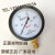 鹤山燃气表膜盒压力表YE100微压膜盒压力表杭州鹳山25kpa千帕 0--25kpa