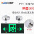 兴博朗（Xingbolang）LED消防应急指示灯 XBL99-29A  12W单面双向 AC220V 一体式 户外 绿