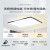 客厅吸顶灯主卧室吊灯具现代简约大气遥控智能厨房平板长方 环宇方40厘米白光送黑圆25厘米