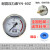 适用于耐震压力表YN100YN60空压机油气分离器储气罐气压水压油压消防水 YN100 0-4.0