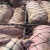 拉猪专用运输网子运猪盖猪网子车结实封车网逮猪网拉猪网运猪网 2*2 12毫米绳12厘米网孔