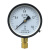 Y-100压力表真空表水压气压油压表0-11.62.5MPA 0-6MPA
