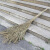 兰诗 QC-040 大扫把竹扫把马路扫帚户外工厂车间笤帚 长1.9M竹枝连体3.5斤 