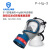 海固（HAI GU）防毒面具全面罩口罩硅胶防有机蒸气化工喷漆印刷有毒气体粉尘 911+三级Hg型6号