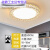 客厅灯LED吸顶灯圆形简约现代卧室灯餐厅阳台走廊厨房间过道灯具 圆鸟巢50cm三色36w