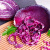 云南新鲜紫甘蓝包菜紫色莲花白蔬菜沙拉卷心菜当季整箱 5斤
