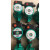 定制手水泵16屏蔽泵 增压泵暖气锅炉循环泵 格兰富UPB328