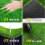 仿真草坪地垫人造铺垫塑料绿色垫子户外人工阳台幼儿园假草皮地毯 2平米(1米宽x2米长) 3厘米加密加厚春草