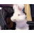 迪士农庄园 DSNZY宠物兔子活物巨型纯种安哥拉兔长毛巨兔猫猫大型兔子活体可爱萌宠 白色安哥拉公2个月