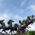 定制大型人物铜雕园林景观雕塑广场金属铸铜摆件园林小品步行街铜