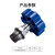 龙代（longdai) PPR升降式截止阀 加厚铜芯水阀开关阀门 蓝色手轮2寸（63mm）