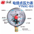 红旗（HONGQi）  机械式压力表  0~25MPa  YNXC-150