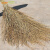 Supercloud 大扫把 竹扫把环卫马路物业学校工厂室外柏油道路地面清扫清洁大号笤帚扫帚 竹枝连体2.5斤款10把