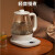 苏泊尔（SUPOR） 养生壶家用1.5L全自动玻璃电煮茶壶加厚煮茶器多功能养身烧水壶SW-15YT01 白色 1.5L