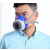 适用于防尘防毒口罩面具防工业粉尘喷漆化工防甲醛防异味有机气体 硅胶面罩一套-8号
