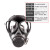 普达 自吸过滤式防毒面具 化学化工喷漆全面罩 防有机气体口罩 MJ-4003+P-A-2过滤罐