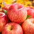烟台苹果（YANTAI APPLE）烟台红富士苹果 时令生鲜 新鲜水果 节日精选礼盒 精选3斤一级中大果（75-80mm）