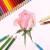 日本UNI三菱油性彩色铅笔880油性绘画彩铅漫画绘图涂色彩色铅笔 22#范戴克棕色