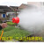 适用高压泵旋转喷头农用喷雾器雾化大雾化果园果树送风式远射程喷雾枪 单单1米直杆