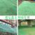 定制适用盖土网防尘网建筑工地绿网覆盖网绿化网裸土遮盖网绿色环保密目网 绿色6针8米宽30米长 绿色