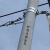 24芯光缆耐张串ADSS预绞丝耐张线夹48芯OPGW光纤架空拉线转角金具 100米内跨距 ADSS光缆单绞丝-3