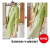 狮洛丹（SARRUDO）小西装外套女夏季薄款2023新款七分袖高级感休闲小个子小西服 果绿色西装+牛油果绿裙子 2XL