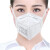 9389 化工防毒面具 喷漆专用防油烟粉尘农药异味 防尘毒口罩（A-2面罩） 6002型  10个 一护口罩系列