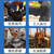 晨梦蓝 超强工业磨砂洗手液去机油重油黑手变白手清洗剂 圆瓶装2L【1瓶】