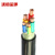 沈缆金环 ZR-VV-0.6/1KV-3*25+2*16mm² 国标铜芯阻燃电力电缆 1米