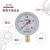 红旗牌仪表YO-100氧气压力表禁油压力表氧气减压阀脱脂气体管道 0~2.5MPa