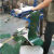 PVC输送平面带流水线工业皮带爬坡提升机防滑输送带传送耐磨皮带 PU墨绿色