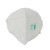 代尔塔 DELTAPLUS 104010 KN95级防尘口罩 头戴式无阀竖折叠设计 60只/盒 白色