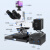 奥斯微（AOSVI） 高倍金相显微镜ccd 高工作距离（接高清屏）显示电子工业拍照测量检测仪 L100-HD202拍照