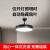 亚明2023新款隐形风扇灯吊扇灯家用一体客厅餐厅卧室北欧电扇灯 (限购 一站式服务