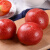 【古寨山】山东海阳普罗旺斯西红柿 新鲜沙瓤生吃番茄  新鲜蔬菜 4.5斤普通装